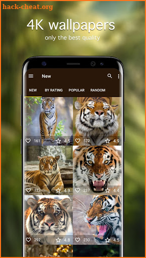 Tiger Wallpapers 4K screenshot