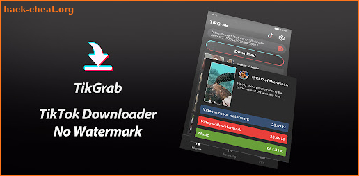 TikGrab - TikTok Downloader screenshot