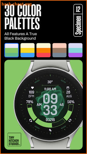 TKS 12 Specimen Watch Face screenshot