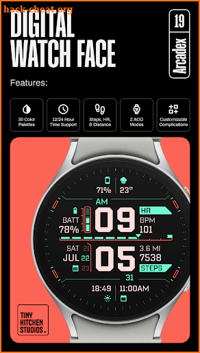 TKS 19 Arcadex Watch Face screenshot