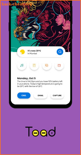 Toad KWGT screenshot