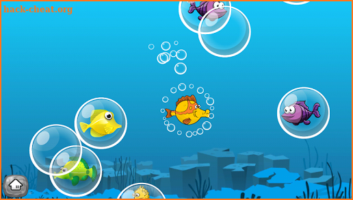 Toddler Puzzle: Fish & Bubbles🐠 screenshot