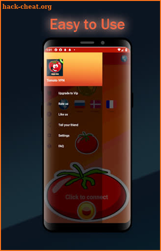 Tomato VPN screenshot