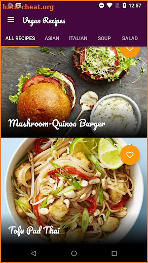 Top Vegan Recipes - Delicious & 100% Meat-Free screenshot