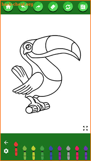 Toucan coloring book screenshot