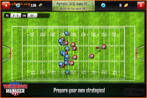 Touchdown Manager screenshot