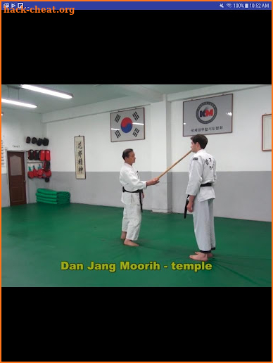 Traditional Hapkido 4 screenshot