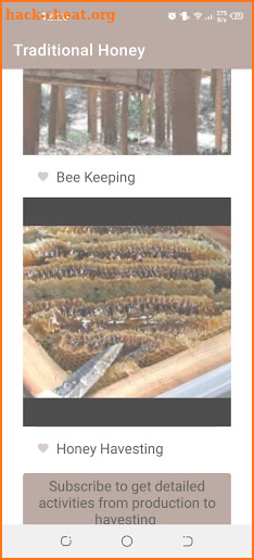 Traditional  honey processing screenshot