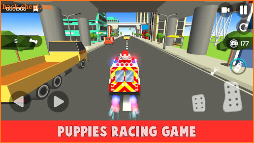 Traffic Paw Racing Adventure screenshot