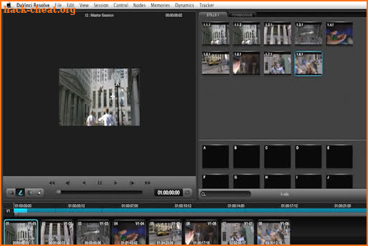 Training DaVinci Resolve screenshot