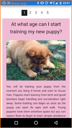 Training perfect puppy screenshot