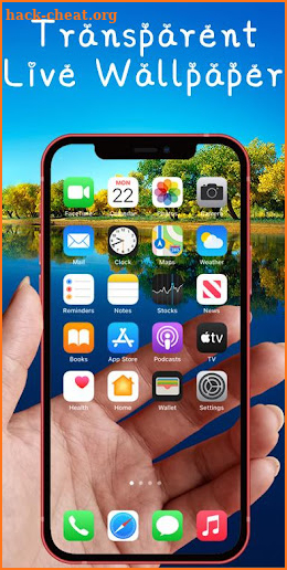 Transparent Live Wallaper for Camera screenshot