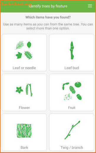 Tree ID - British trees screenshot