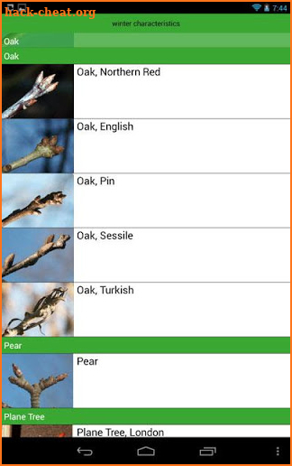 Tree Identification screenshot