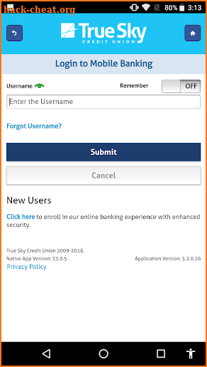 True Sky Credit Union screenshot