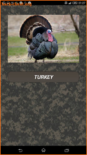 Turkey calls screenshot