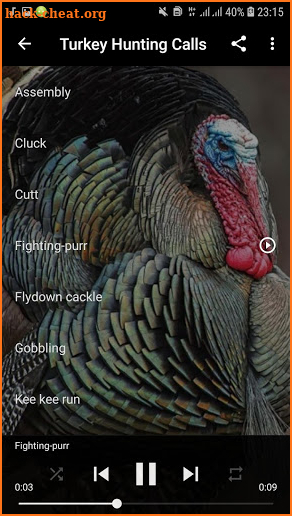 Turkey Calls For Hunting screenshot