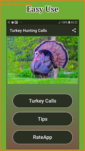 Turkey Hunting Calls screenshot