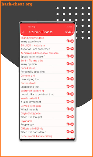 Turkish Language - Phrases screenshot