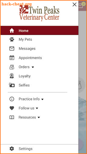 Twin Peaks Vet Clinic screenshot
