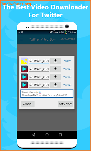 Twitter Video Downloader screenshot