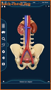 Urinary System Pro. screenshot