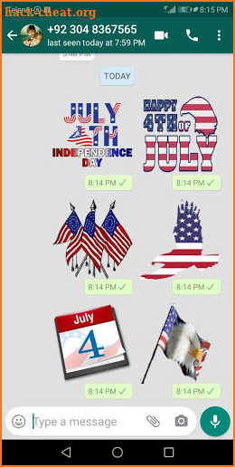 USA Strickers screenshot