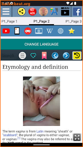 Vagina Anatomy screenshot