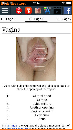 Vagina Anatomy Encyclopedia screenshot