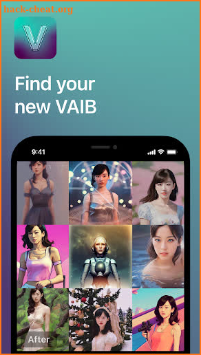 VAIB screenshot