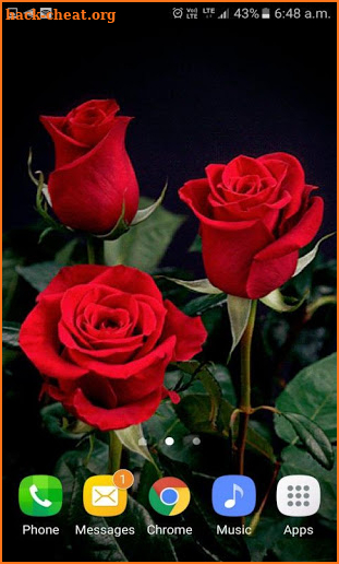 Valentine Red Roses LWP screenshot