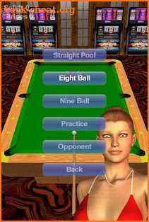 Vegas Pool Sharks screenshot