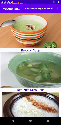 Vegetarian Raw Soups screenshot