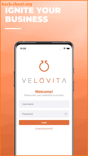 Velovita Vibe screenshot