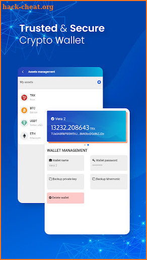 Vera Wallet screenshot