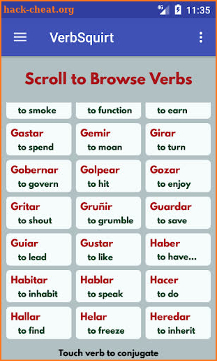 VerbSquirt Spanish Verbs - FUL screenshot