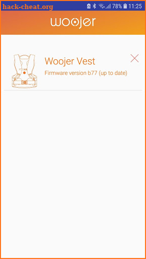 Vest firmware update screenshot