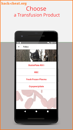 Veterinary Transfusion Guide screenshot