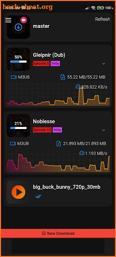 VIdeo Download Manager screenshot