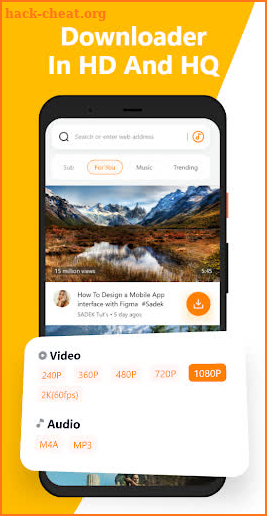 Video Downloader screenshot