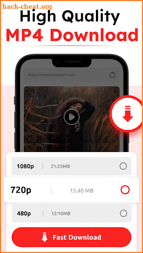 Video Downloader screenshot