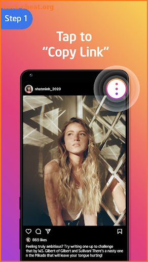 Video Downloader for Instagram screenshot