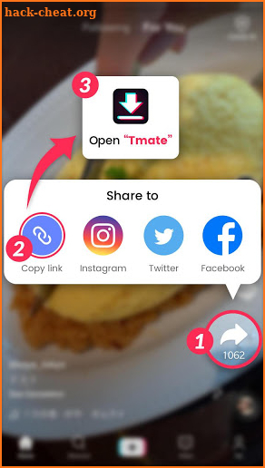 Video Downloader for TikTok No Watermark - Tmate screenshot