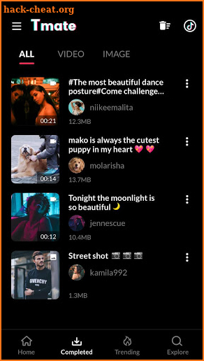 Video Downloader for TikTok No Watermark - Tmate screenshot