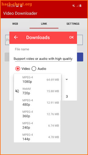 Video Downloader Master screenshot