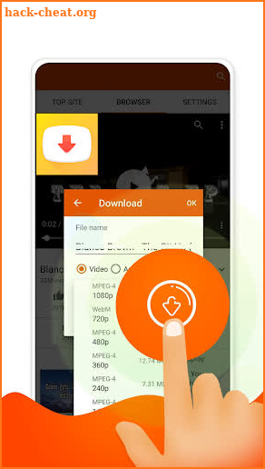 Video Downloader Master screenshot