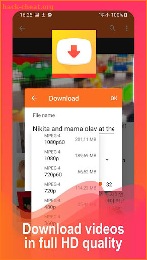 Video Downloader Master screenshot