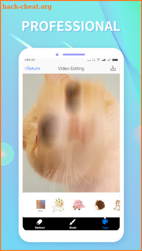 Video Mosaic - Add mosaic to your video screenshot