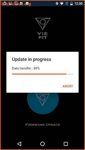 VIE FIT screenshot