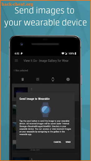 View It Go - Gallery for Wear screenshot